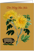 Vietnamese Tet Chuc Mung Nam Moi 2019 Chrysanthemum Pot Belly Pig card
