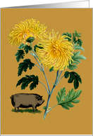 Vietnamese Any Occasion Card Yellow Chrysanthemum and Pot Belly Pig card