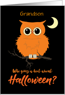 Grandson Halloween Owl Hoot Humor card