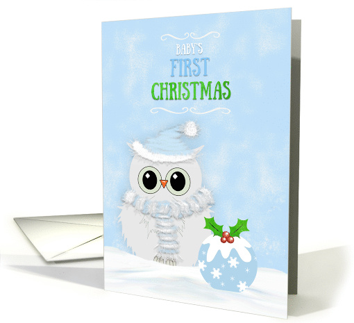 Baby's First Christmas for Boys Snowy Owl and Festive Pudding card