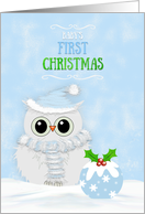 Baby’s First Christmas for Boys Snowy Owl and Festive Pudding card