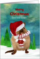 Great Great Grandson Merry Christmas Cute Gerbil in Snowscape card