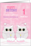 Twin Granddaughters Multi Custom First Birthday Snowy Owls and Cakes card