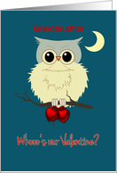 Whoo’s OUR Valentine? Granddaughter Valentine’s Day Cute Owl Humor card