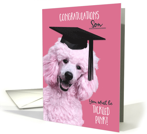Son Graduation Fun Congratulations Tickled Pink Poodle in Cap card