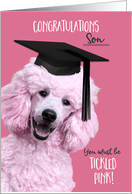 Son Graduation Fun Congratulations Tickled Pink Poodle in Cap card