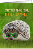 Greetings Little Camper Summer Camp Hedgehog Cool Sunglasses Vibe card
