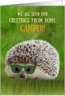 From All Greetings Camper Summer Camp Hedgehog Cool Sunglasses Vibe card