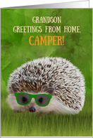 Grandson Greetings Camper Summer Camp Hedgehog Sunglasses Vibe card