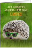 Great Granddaughter Greetings Camper Summer Camp Hedgehog Sunglasses card