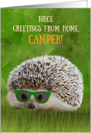 Niece Greetings Camper Summer Camp Hedgehog Sunglasses Vibe card