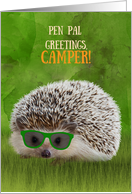 Pen Pal Greetings Camper Summer Camp Hedgehog Cool Sunglasses Vibe card