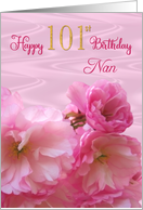 Nan 101st Birthday Pink Cherry Blossoms Feminine Floral card