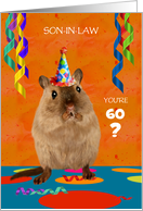 Customize Son in Law 60th Birthday Shocked Gerbil in Party Hat Humor card