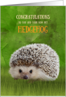 Congratulations on your New Pet Hedgehog Grass and Greenery card