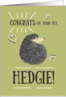 Congratulations on your New Pet Hedgie! Cute Whimsical Hedgehog Green card
