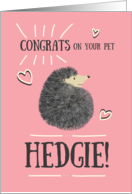 Congratulations New Pet Hedgie! Cute Whimsical Hedgehog on Pink card
