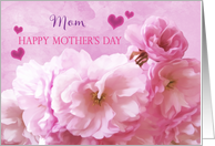 Mom Happy Mother’s Day Pink Cherry Blossoms card