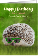 Great Great Niece Birthday Hedgehog in Sunglasses Customize card