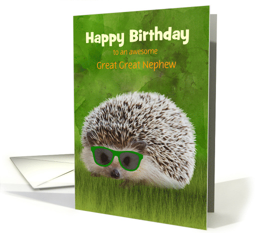 Great Great Nephew Birthday Hedgehog in Sunglasses Customize card