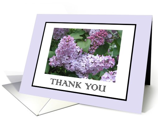 Thank you card Lilacs card (347606)