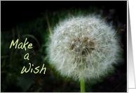 Dandelion Make a Wish Earth Day card