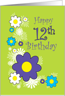 Happy 12th Birthday card