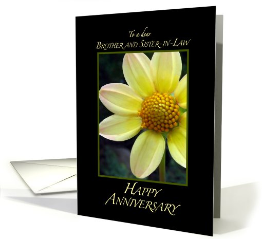 Anniversary-Brother and Sister-in-Law card (420667)