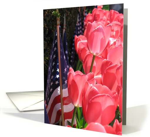 American flag and tulips card (427427)