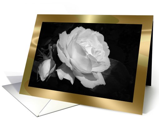 White rose card (457868)