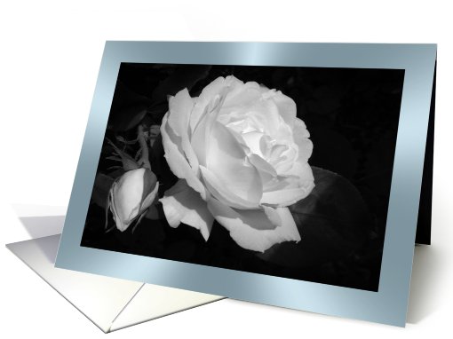 White rose-blue border card (459507)