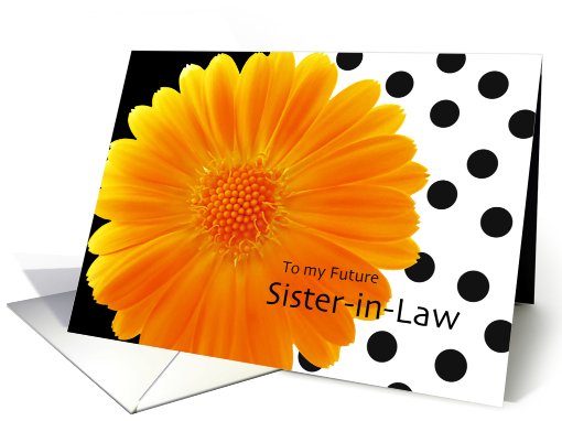 Future Sister-in-Law-Will you be my Bridesmaid? card (466324)