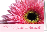 Will you be my Junior Bridesmaid?? card