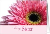 Sister Will you be my Maid of Honor? card