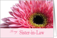 Sister-in-Law Will you be my Matron of Honor? card