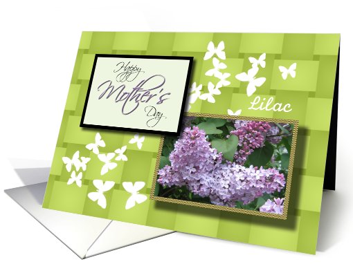 Happy Mother's Day lilac floral card (598018)