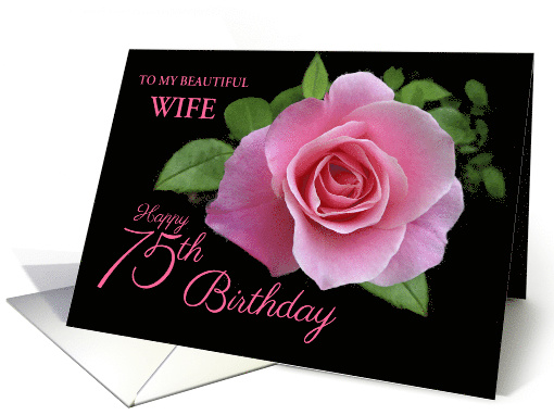 75th Birthday for Wife Beautiful Pink Rose Custom Relation card