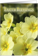 Easter Blessings Spring Yellow Primrose Religious Comfort and Guide card