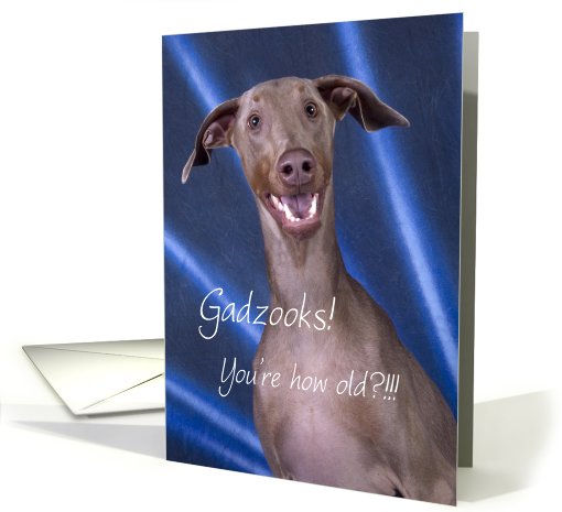 Happy Birthday Doberman humor card (771134)