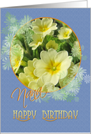 Nana Happy Birthday Primroses Blue and Yellow card