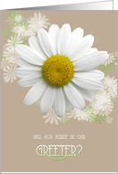 Will you be our Greeter? Daisy Oyster color card