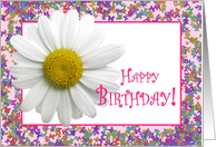 Happy Birthday like a Granddaughter Daisy card