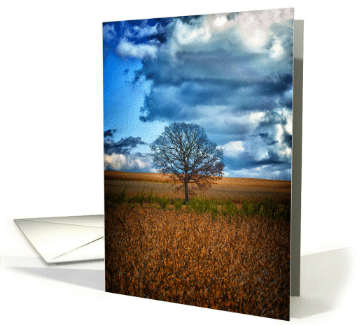 Lone Tree card (1057213)