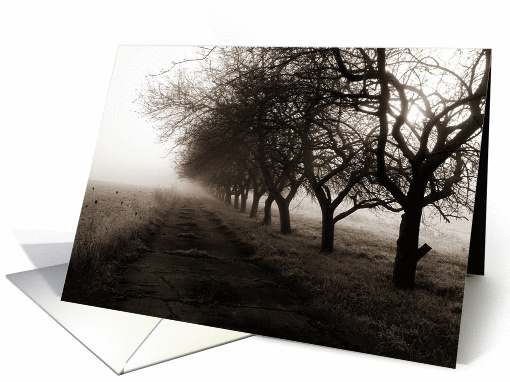 Row of trees card (1057217)