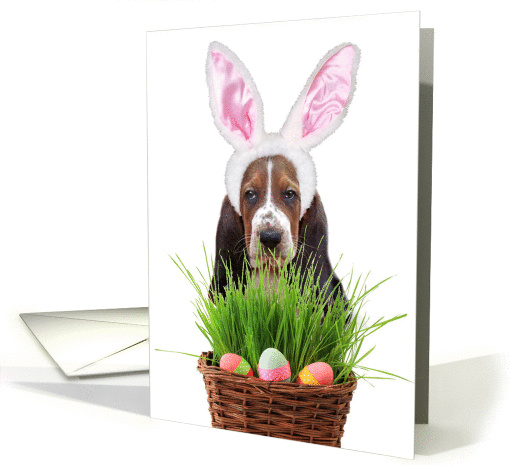 Easter Basset Hound Dog card (1017687)