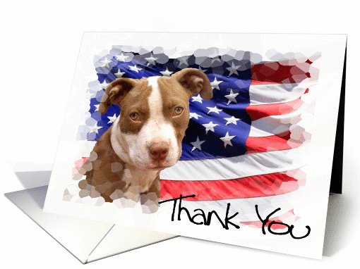 Thank You Pitbull Puppy card (1120052)