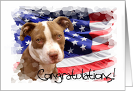 Congratulations Pitbull dog card