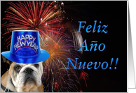 Feliz Ano Nuevo Bulldog card