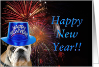Happy New Year Bulldog card