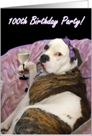 100th Birthday Party Olde English bulldogge card